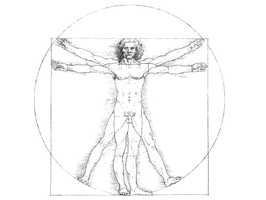 Ergonomie Da Vinci Vitruve man 1490